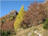 Monte Cimon - Creta di Entralais Na poti so se nama kazali macesni v svoji najlepši podobi